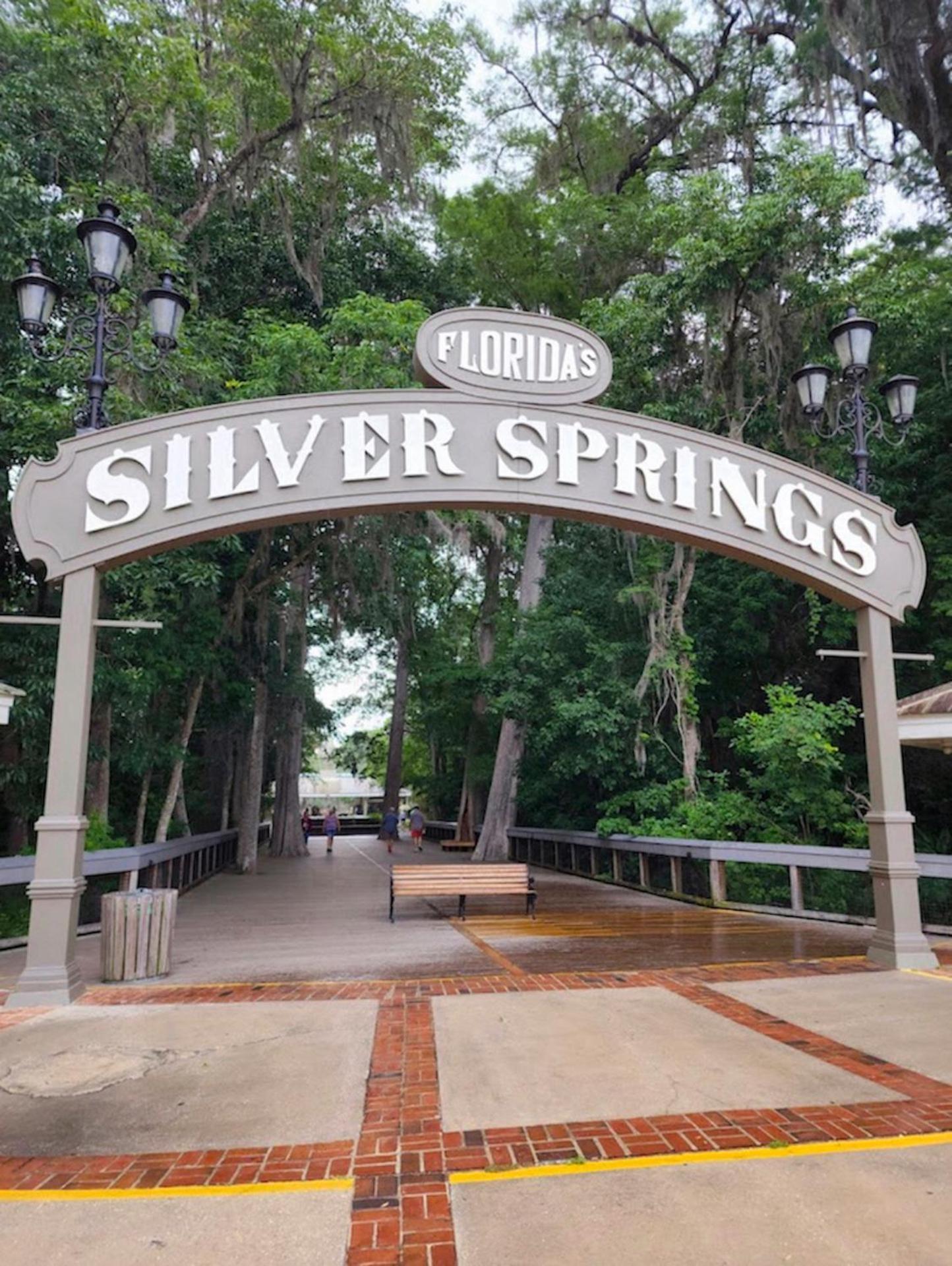 Private Home In Ocala With Fenced Yard, Piano, Central Location, Pets Welcome Exteriör bild