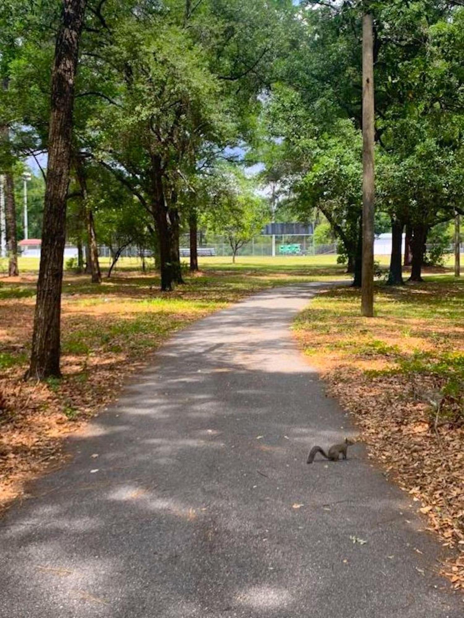 Private Home In Ocala With Fenced Yard, Piano, Central Location, Pets Welcome Exteriör bild